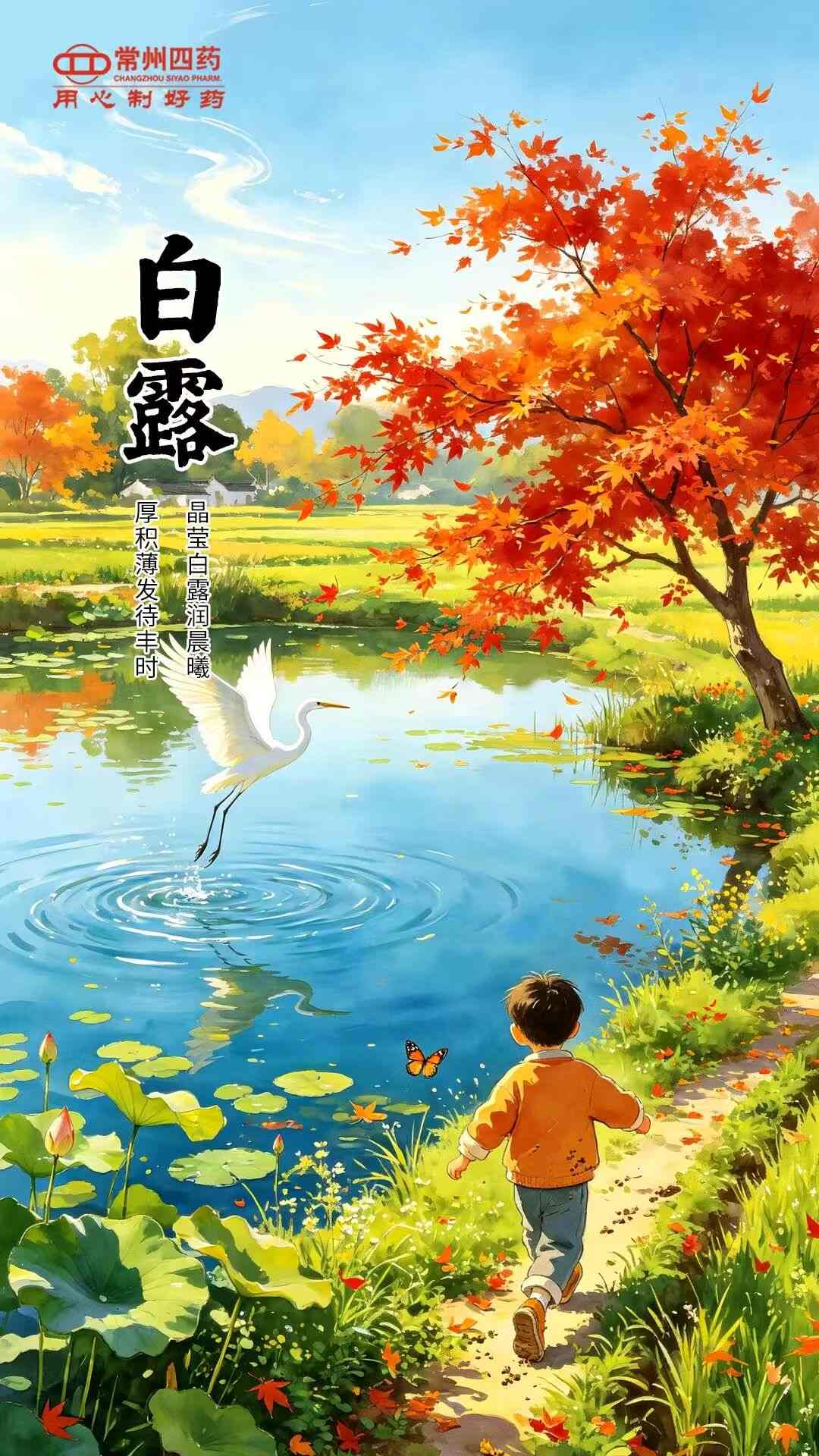 今日白露 | 所有美好,恰逢其时
