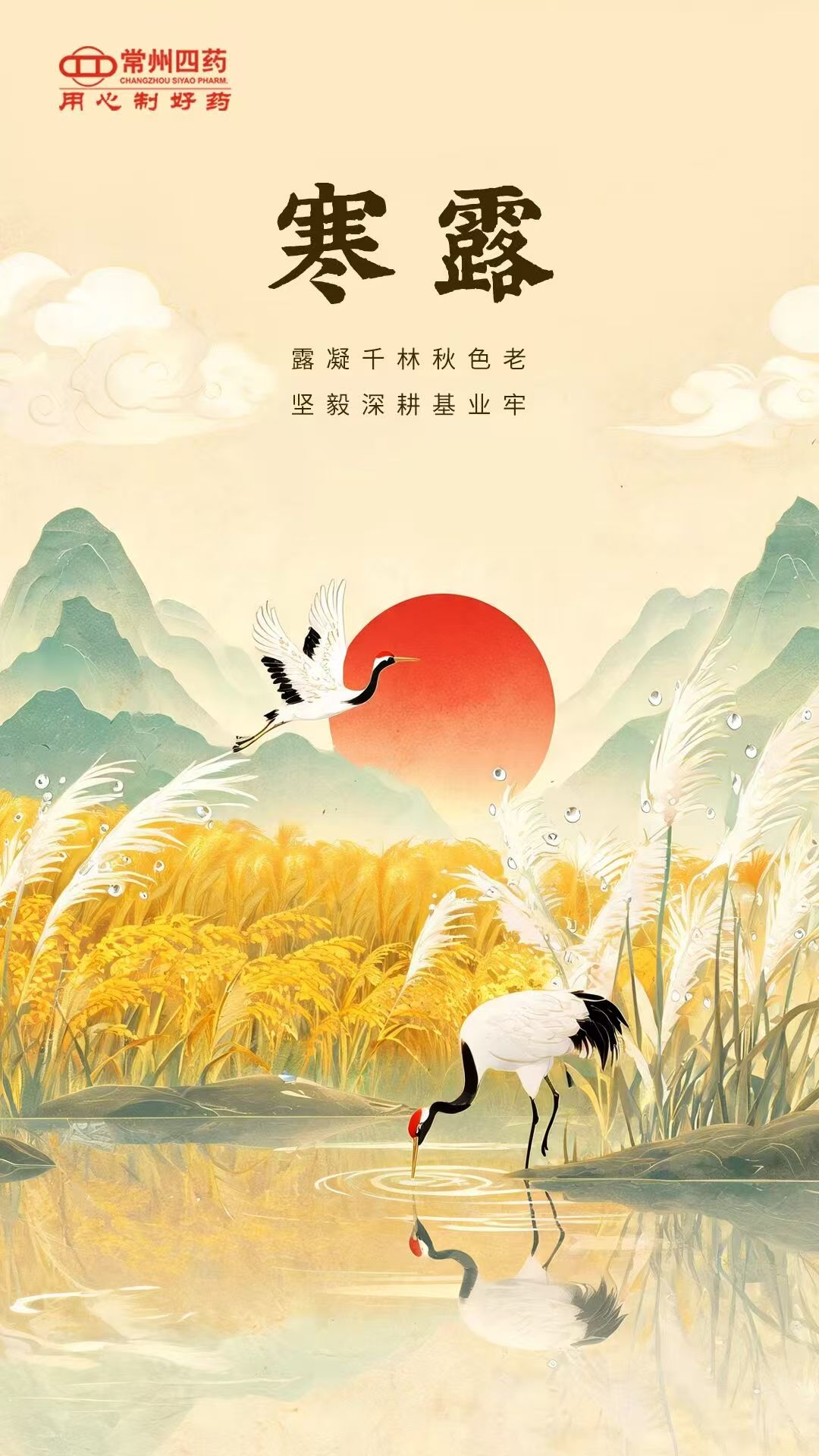 今日寒露 | 凝露夜渐凉,清影融晚秋